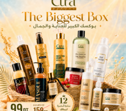 The Biggest Box